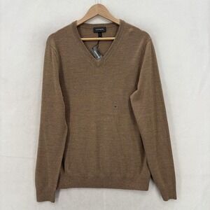 Express Sweater Mens Medium Brown Merino Wool V Neck Lightweight Knit Pullover